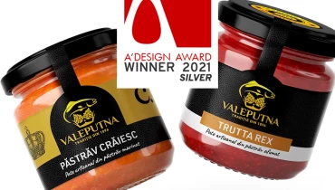 Armeanu Creative Studio - Award 1