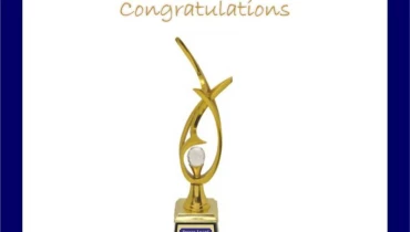 OptiSol Business Solutions - Award 2