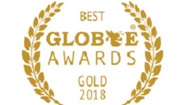 V Digital Services - Award 1