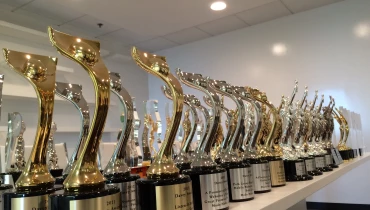 Modo Modo Agency - Award 1