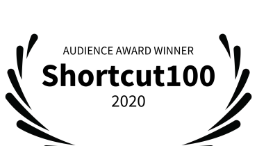 Niche Visuals LLC - Award 1