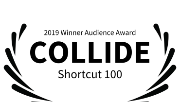 Niche Visuals LLC - Award 3