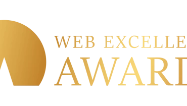 Dynamic Wave Consulting - Award 2