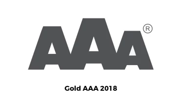 Vega IT Sourcing - Award 1