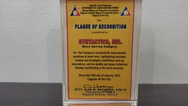 Syntactics, Inc. - Award 10