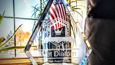 The Net Diatom Corporate Subsidiary Group - Award 1