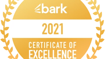 Infinite Ideas Web Design - Award 1