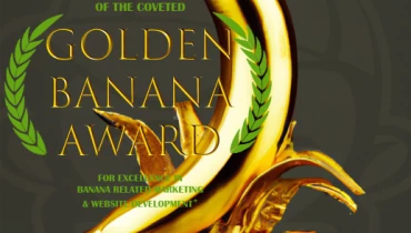 Cheeky Monkey Media - Award 1