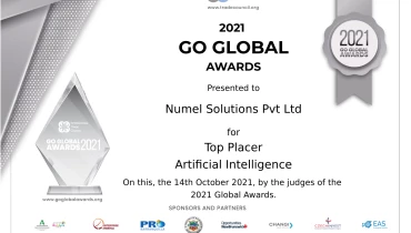 Numel Solutions Pvt Ltd - Award 2
