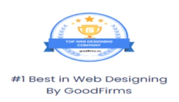 The Go-To Guy - Award 2