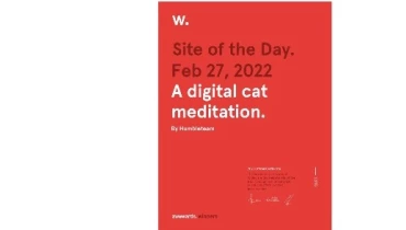 Humbleteam - Award 1