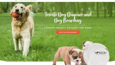 The Story Webs - Award 16