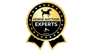 Tunnel Vision Design - Award 4