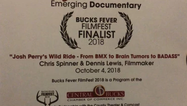 Mad Icarus - Award 1