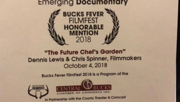 Mad Icarus - Award 2