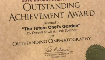 Mad Icarus - Award 3