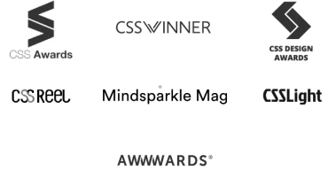 BRIGHTSCOUT - Award 1