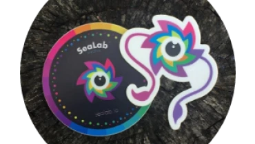 SeaLab Design Agency - Award 2
