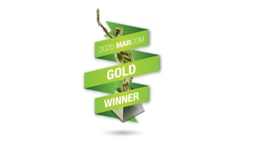 Solid Digital - Award 10