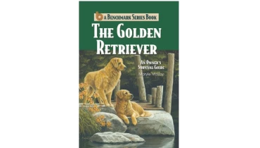 Wide Web Advisor - Award 1