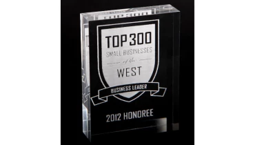 Blue Cube Marketing Solutions - Award 4