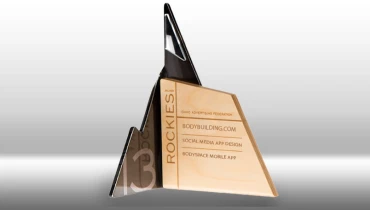 DesignX - Award 1