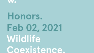 IndieTech Solutions - Award 2