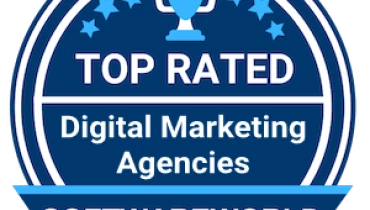 Picovision - Award 3