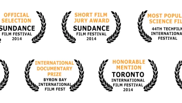 Alta Productions - Award 1