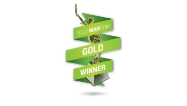 J Drake Web Design - Award 3