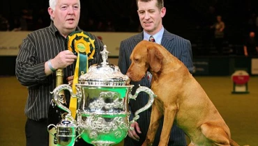 Wildish&co - Award 1