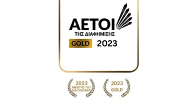 lynx Web Designer - Award 6