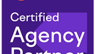 Allegiant Digital Marketing - Award 3