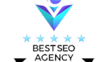 Allegiant Digital Marketing - Award 7