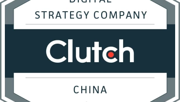 IT Consultis - Award 3