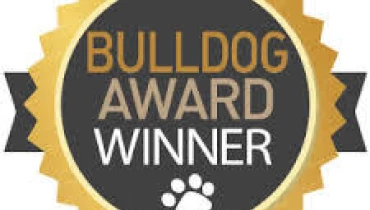 Winger Marketing - Award 2