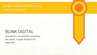 Blink Digital Consulting - Award 6