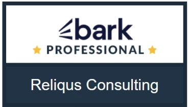 Reliqus Consulting - Award 6