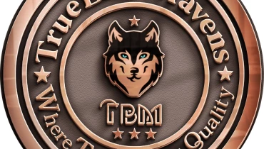 TrueBlue Mavens - Award 1