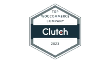 WPExperts - Award 11