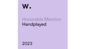 StanVision - Award 5