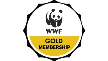 Tafsol Technologies - Award 4