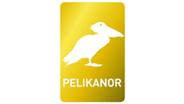 Big Sur Branding - Award 3