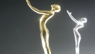 Flying Machine - Award 1