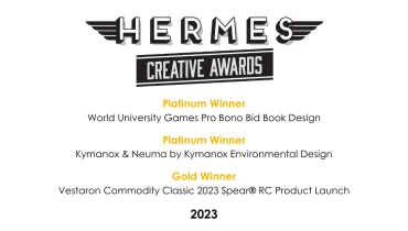 Hummingbird - Award 8