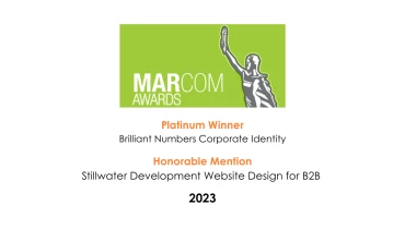 Hummingbird - Award 13