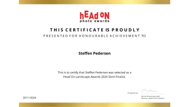 Little Viking Productions - Award 1