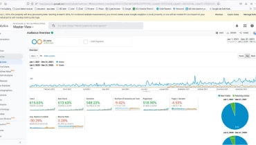 SEO Consult Services - Award 1