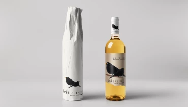 Oltreildisegno - Award 1