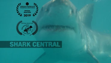 In Focus Photography & Video - Award 2